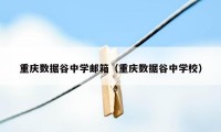 重庆数据谷中学邮箱（重庆数据谷中学校）