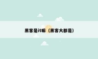黑客是it嘛(黑客大都是)