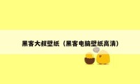 黑客大叔壁纸（黑客电脑壁纸高清）