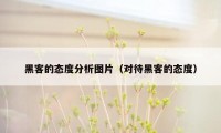 黑客的态度分析图片（对待黑客的态度）