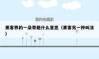 黑客界的一朵奇葩什么意思（黑客另一种叫法）