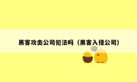 黑客攻击公司犯法吗（黑客入侵公司）