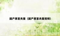 国产黑客夫妻(国产黑客夫妻视频)