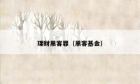 理财黑客罪（黑客基金）