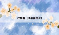 iT黑客（IT黑客图片）