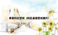 黑客科比壁纸(科比桌面壁纸图片)