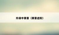 升级中黑客（黑客进阶）