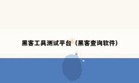 黑客工具测试平台（黑客查询软件）