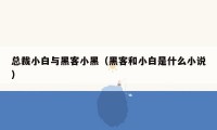 总裁小白与黑客小黑（黑客和小白是什么小说）