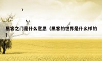 黑客之门是什么意思(黑客的世界是什么样的)