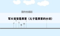 军火宝宝是黑客（儿子是黑客的小说）