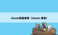 steam我是黑客（steam 黑客）