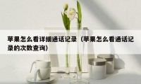 苹果怎么看详细通话记录（苹果怎么看通话记录的次数查询）