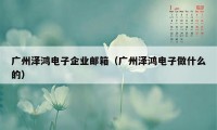 广州泽鸿电子企业邮箱（广州泽鸿电子做什么的）