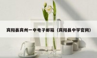 宾阳县宾州一中电子邮箱（宾阳县中学官网）