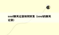 soul聊天记录如何转发(soul的聊天记录)