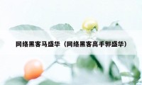 网络黑客马盛华（网络黑客高手郭盛华）