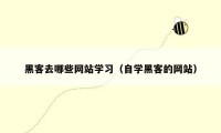 黑客去哪些网站学习（自学黑客的网站）
