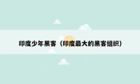 印度少年黑客（印度最大的黑客组织）