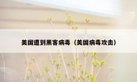 美国遭到黑客病毒(美国病毒攻击)