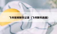 飞书视频聊天记录（飞书聊天截图）