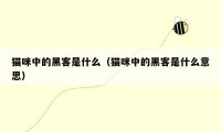 猫咪中的黑客是什么(猫咪中的黑客是什么意思)