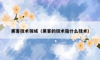 黑客技术领域（黑客的技术指什么技术）