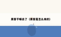 黑客干嘛去了（黑客是怎么来的）