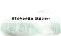 黑客少年心存正义(黑客少年v)