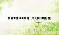 黑客生死狙击刷枪(生死狙击刷枪器)