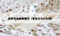 黑客为啥都戴帽子(黑客分为什么帽)