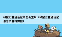 和聚汇查通话记录怎么查呀(和聚汇查通话记录怎么查呀微信)