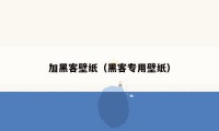 加黑客壁纸（黑客专用壁纸）