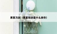 黑客刀剑(黑客双剑是什么身份)