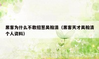 黑客为什么不敢招惹吴翰清(黑客天才吴翰清个人资料)
