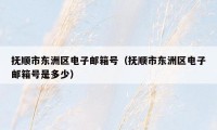 抚顺市东洲区电子邮箱号(抚顺市东洲区电子邮箱号是多少)