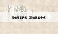 灵魂黑客天幻（灵魂黑客合成）