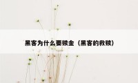 黑客为什么要赎金(黑客的救赎)