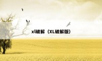 xl破解（XL破解版）