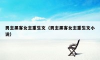 男主黑客女主重生文(男主黑客女主重生文小说)
