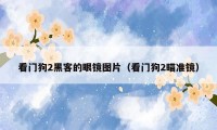 看门狗2黑客的眼镜图片（看门狗2瞄准镜）