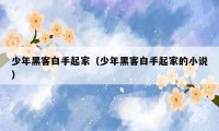少年黑客白手起家（少年黑客白手起家的小说）