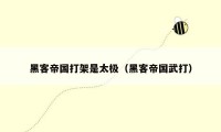 黑客帝国打架是太极（黑客帝国武打）