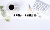 黑客花少（黑客花无涯）
