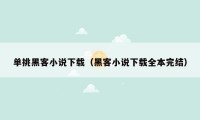 单挑黑客小说下载（黑客小说下载全本完结）