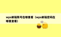 wps邮箱账号在哪里看（wps邮箱密码在哪里查看）