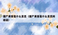 僵尸黑客是什么意思（僵尸黑客是什么意思网络语）