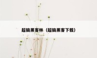 超脑黑客林（超脑黑客下载）