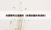 白露聊天记录图片（白鹭的图片和资料）