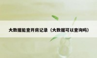 大数据能查开房记录(大数据可以查询吗)